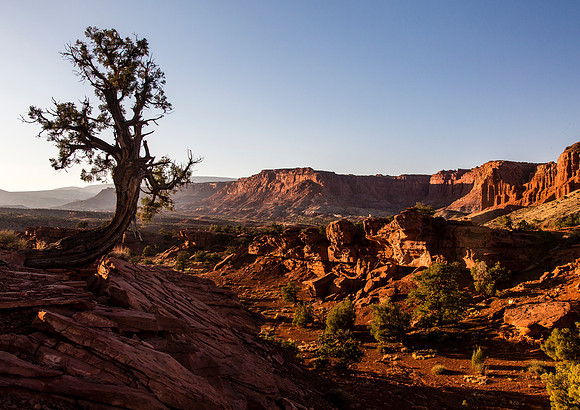 Capital Reef Sunset
