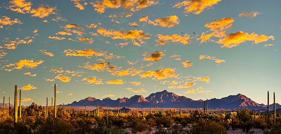 Ajo Sunset