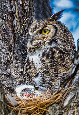 On Watch