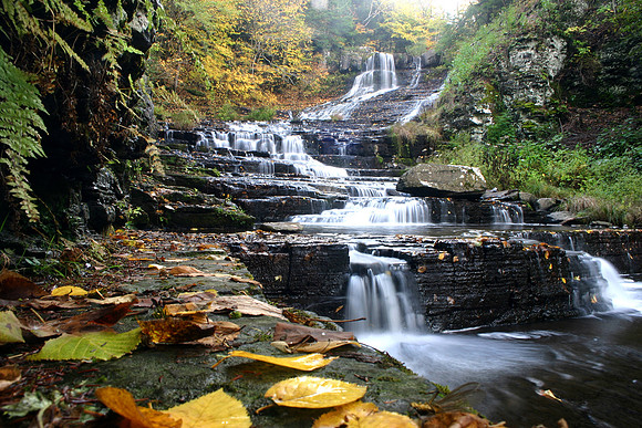 Autumn Falls