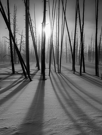 Patterns and Light