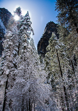 Yosemite Morning