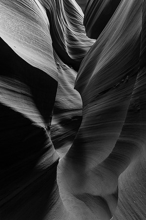 Curves and Soft Light-4