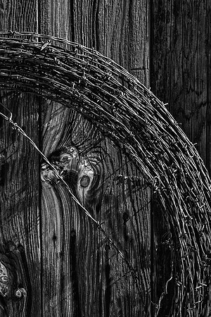 Barbed and Ready
