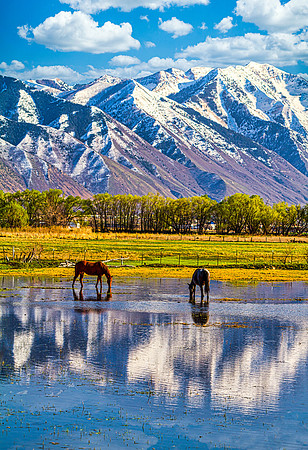 Peaceful Water