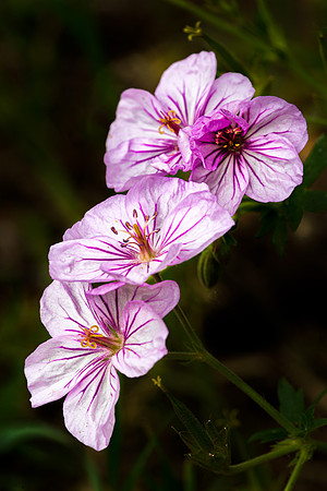 9U3A5159-Edit