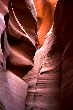 Waves of Time