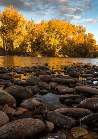 Boise River View